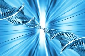 Fotolia3331657SubscriptionL