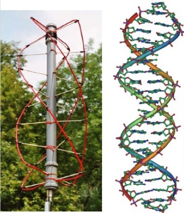 AntennaDNA