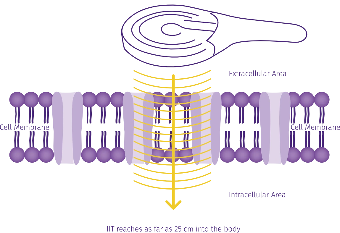 iit penetrates the skin