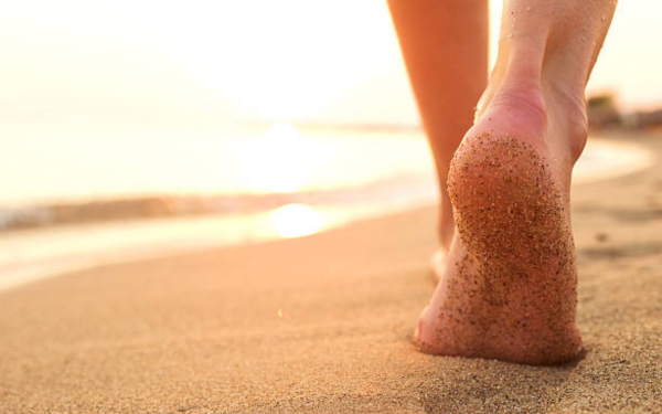 Grounding_radicamento_Biot