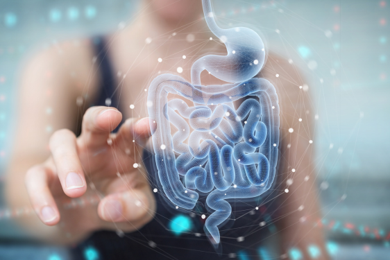 Microbiota intestinale_Malattie neurodegenerative_BioWell_Biot-technologies for life Microbiota intestinale_Malattie neurodegenerative_BioWell_Biot-technologies for life