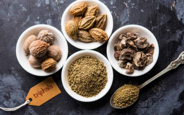 Triphala e Niacina_microbiota intestinale_Bio-T Technologies for Life